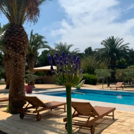 Hotel Tropic